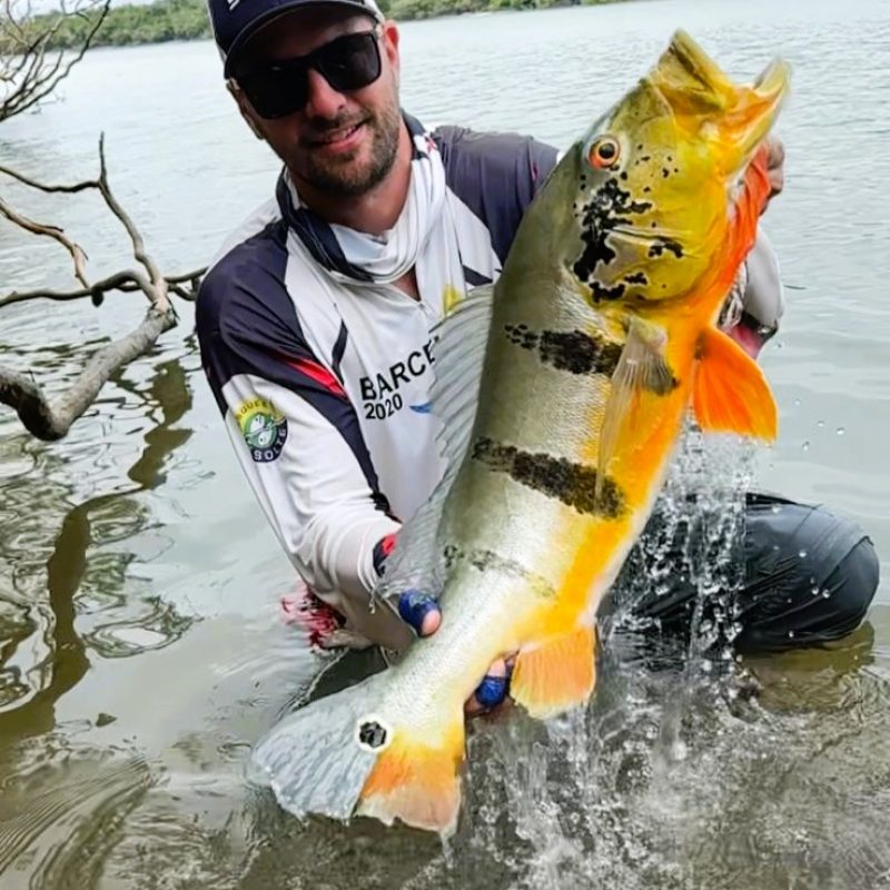 Foto Tucunaré Açu_Francisco Zutin BUZO