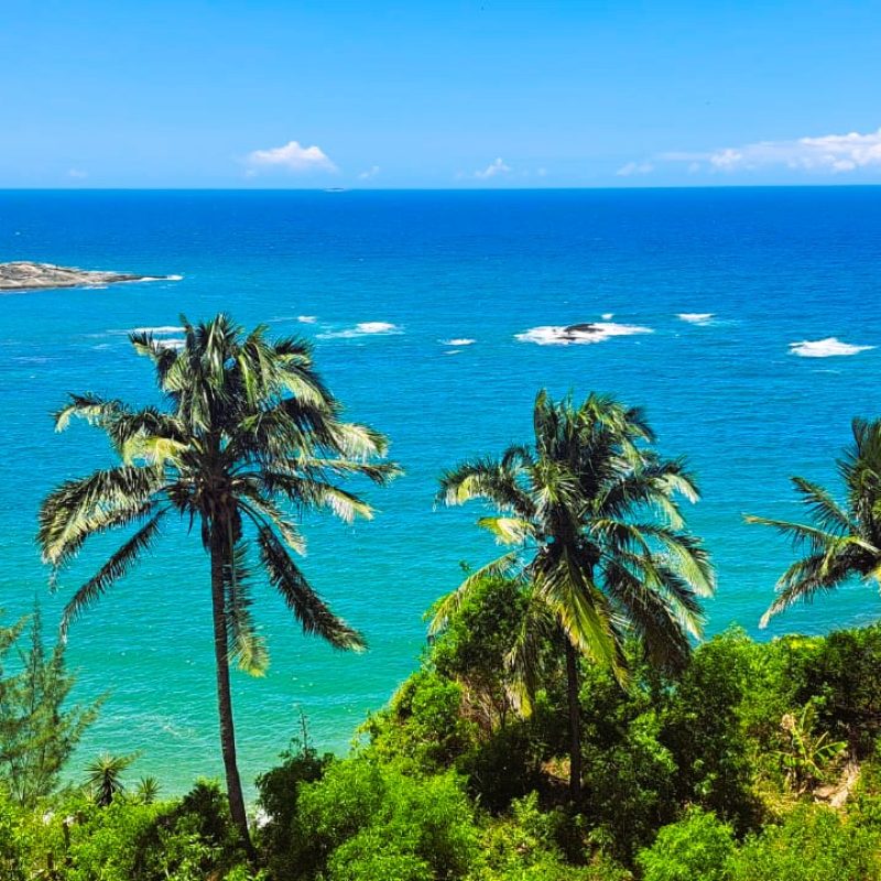 VistaJosiane Alves_Josiane Alves SERAFI